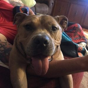 Meet your Posher, Damien